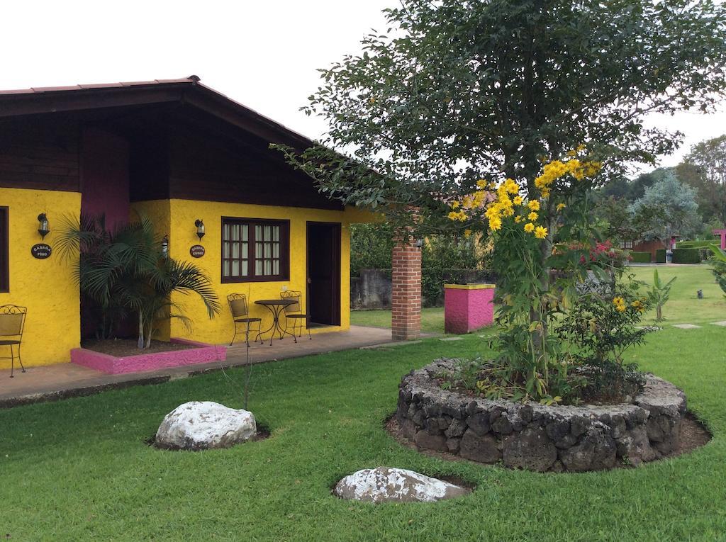 Cabanas La Chicharra Xico Værelse billede